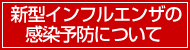 �V�^�C���t���G���U�̊����\�h�ɂ���